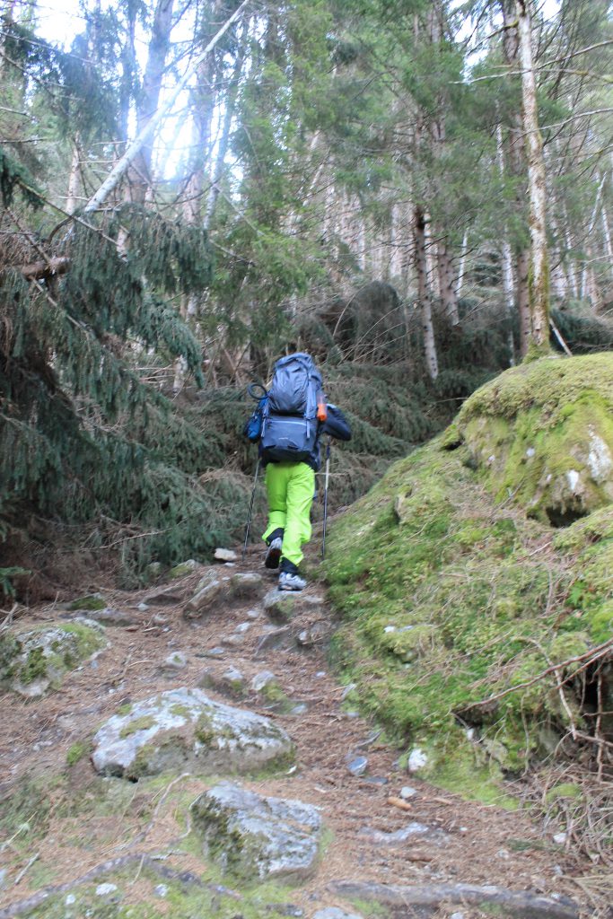 Turen starter fra Lovatnet og begynner på sti gjennom skogen.