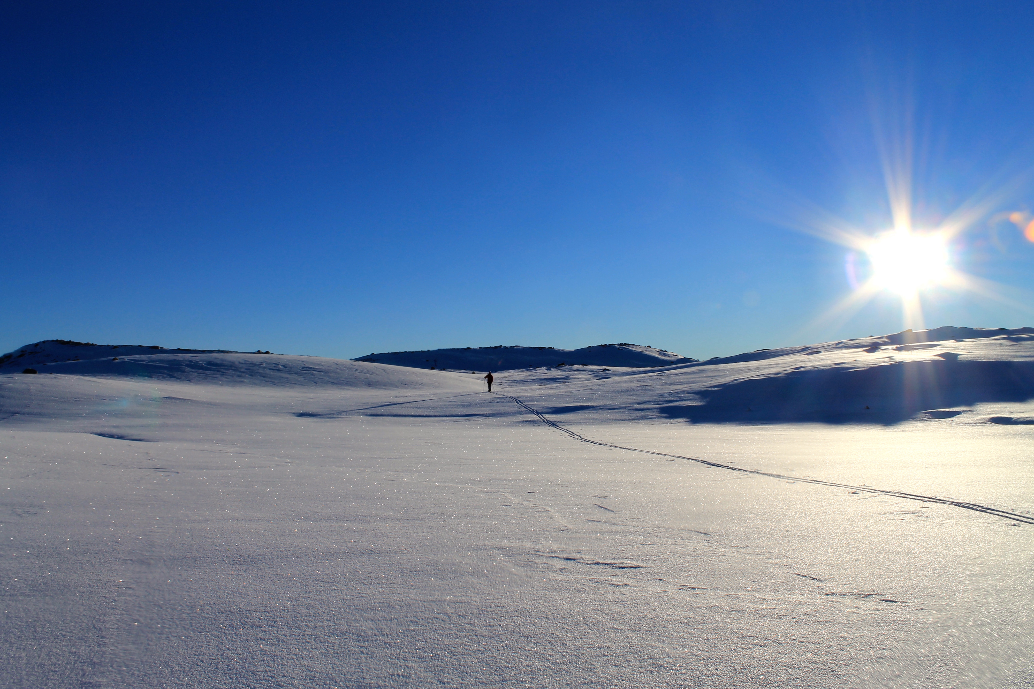 På ski mot Nevlingkollen over tregrensen.