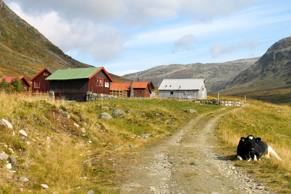 Idyll ved Slettedalen støl, som vi passerer på turen til Bakkanosi.