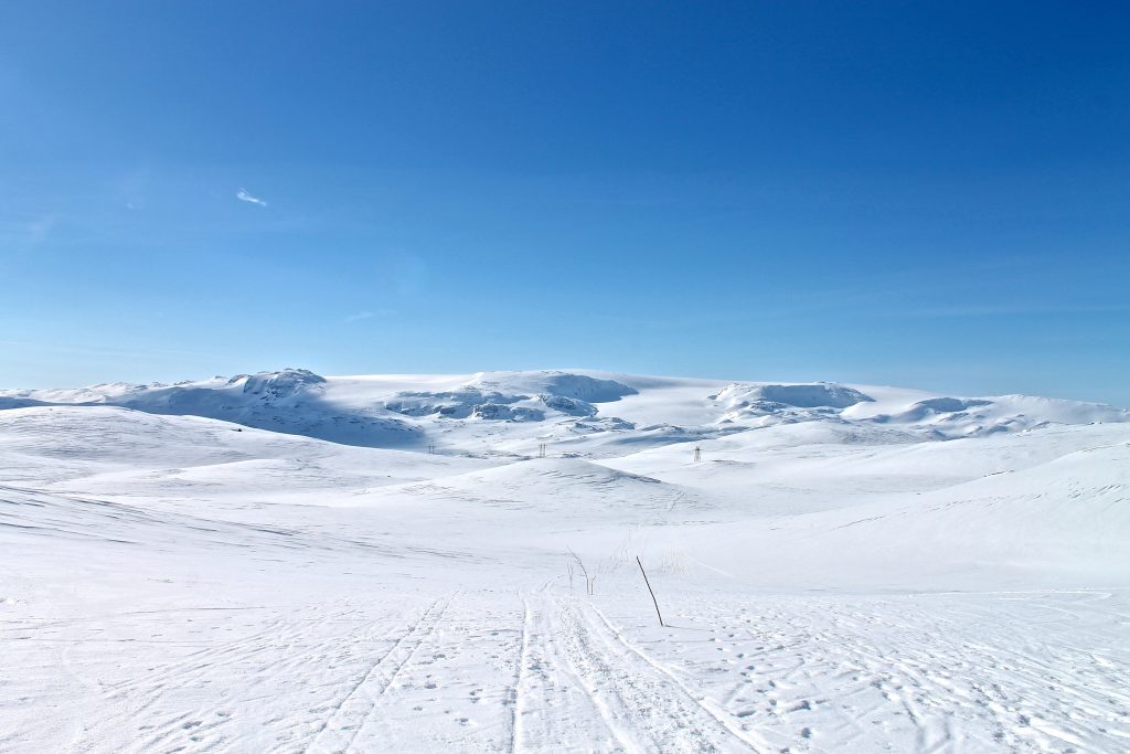 Vi har Hardangerjøkulen i ryggen på vei over fjellet mot Geiterygghytta.