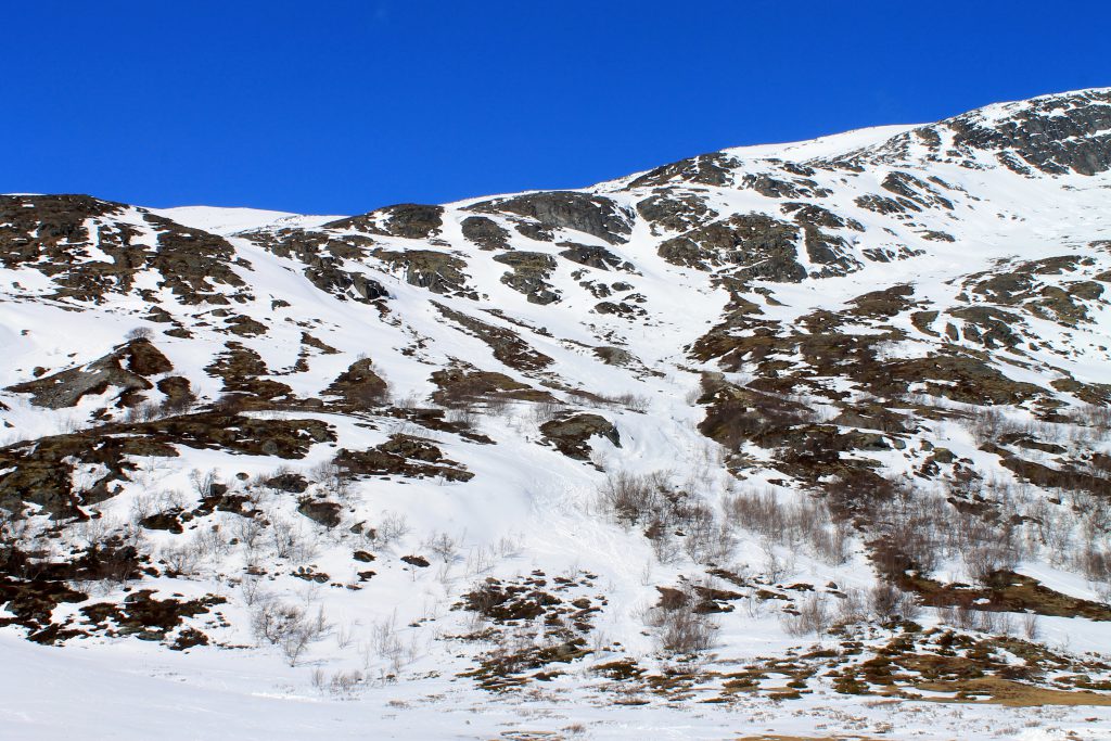 Skikjøring ned fra Galdhøpiggen med Visdalen i bakgrunnen.