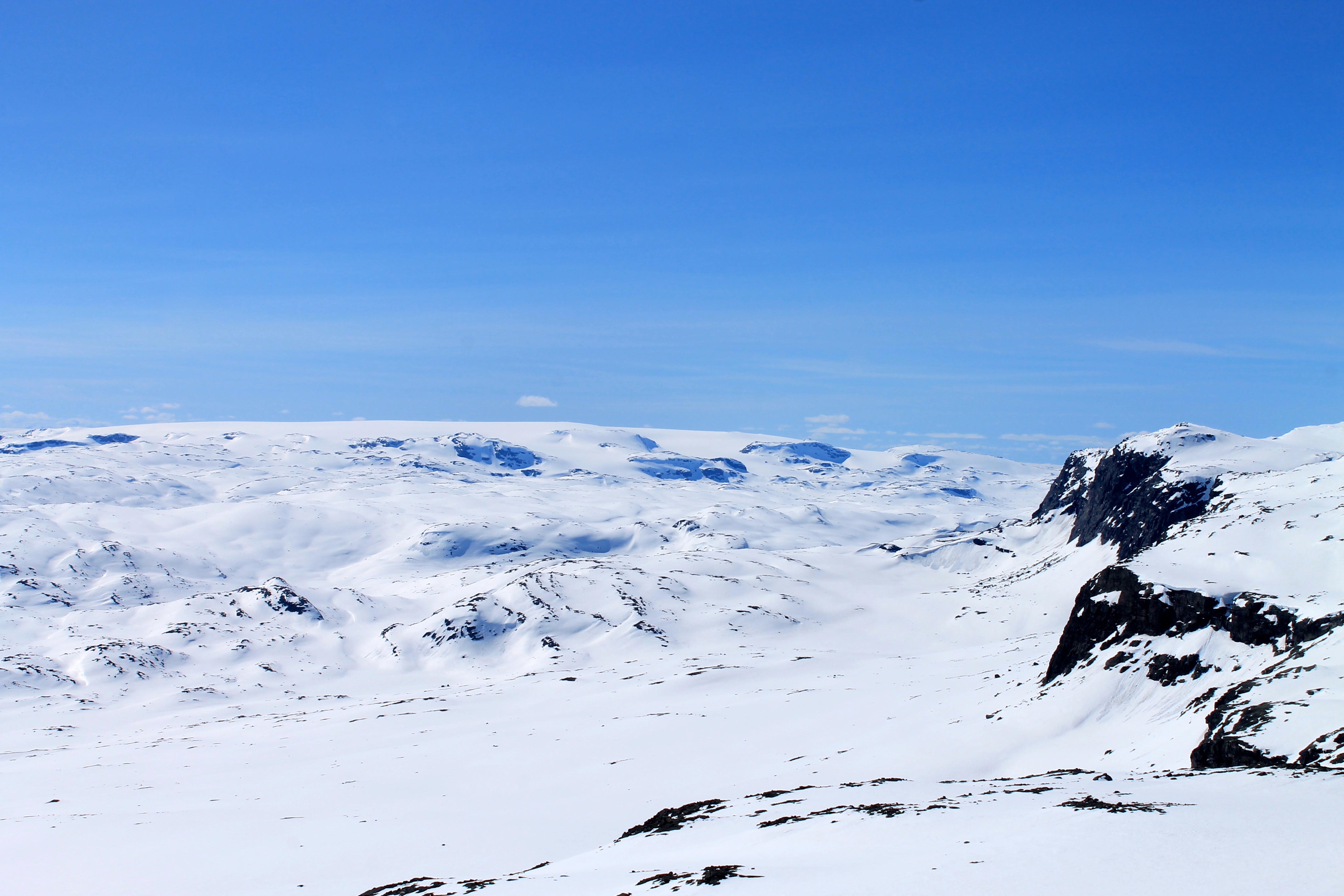 Den vestlige ryggen av Hallingskarvet har flott utsikt mot Hardangerjøkulen.