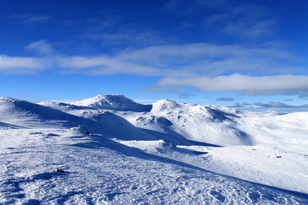 Gråfjell er den høyeste toppen på Norefjell.