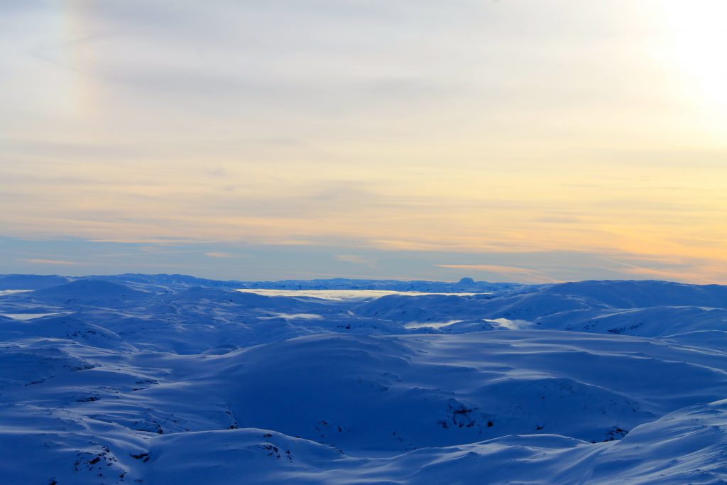Baksafjellet har en utrolig utsikt, her mot Hardangervidda. I det fjerne ser vi Hårteigen.