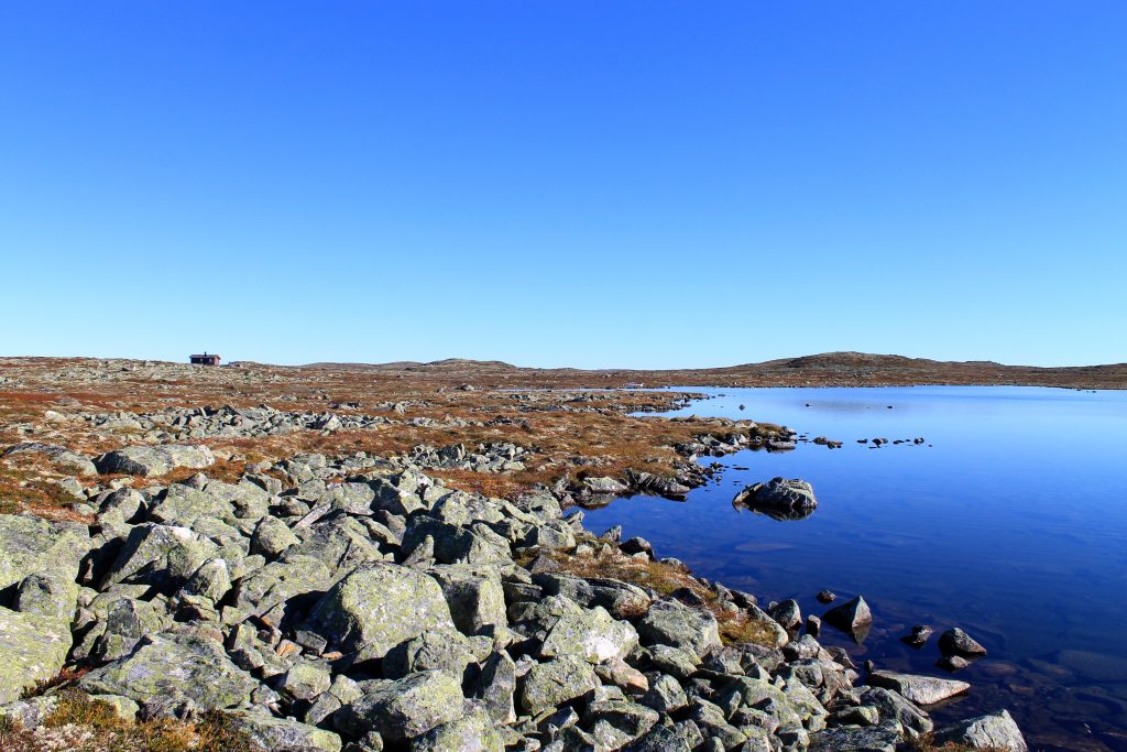 Det er flatt viddelandskap på store deler av Hardangervidda med flere flotte fiskevann.