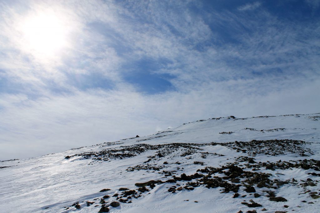 Normalruten opp til Skogshorn lans øst-ryggen.