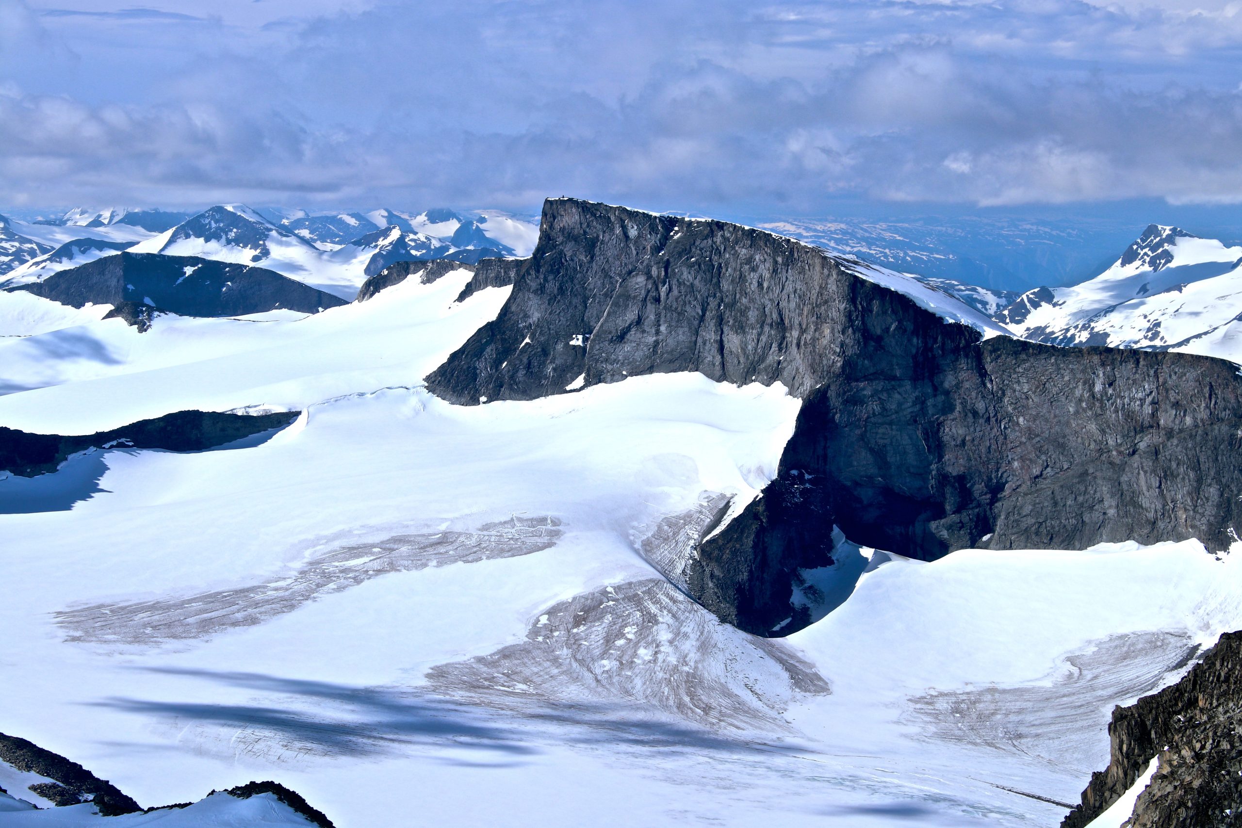 Bukkehøe