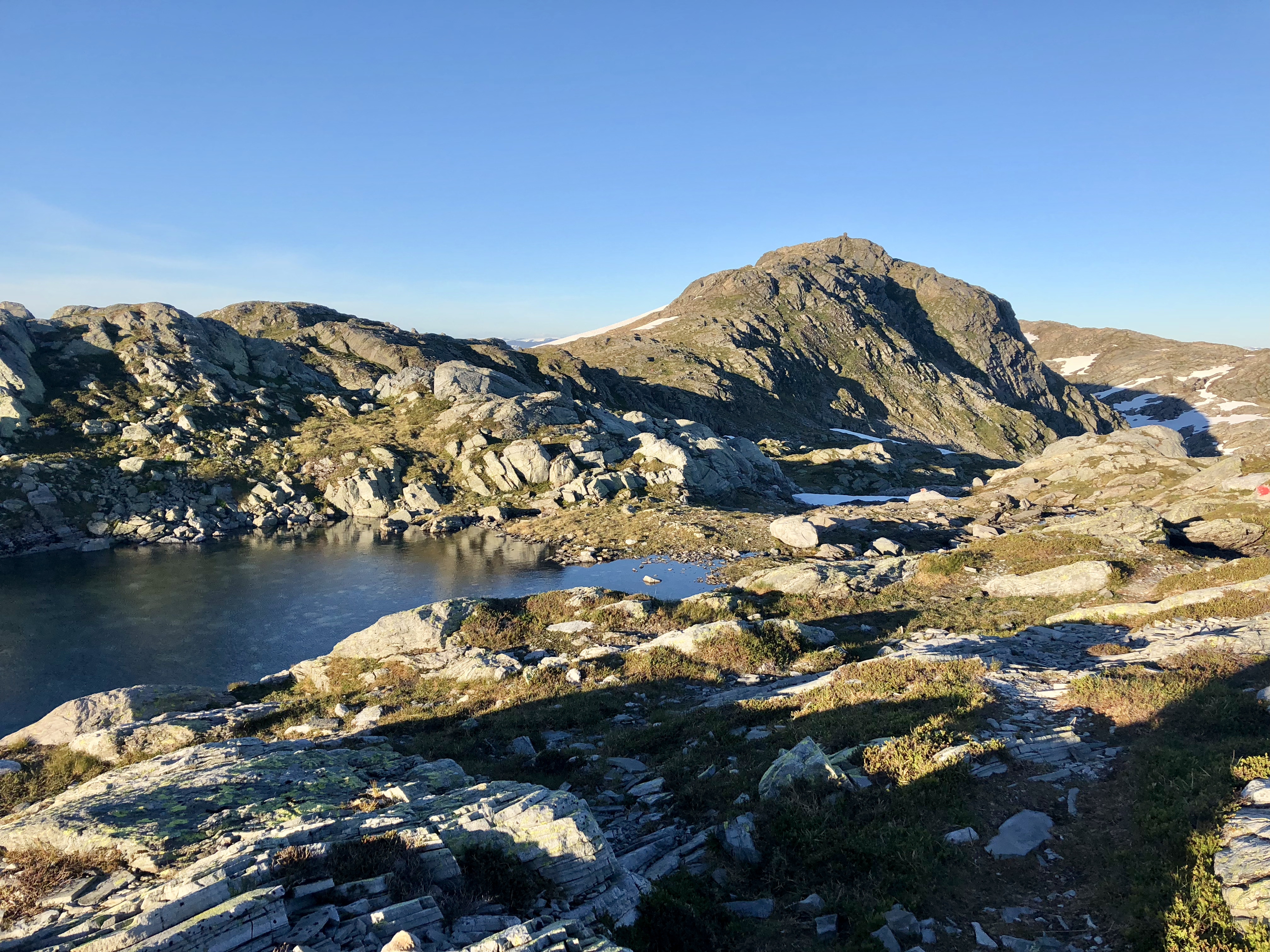 Toppen av Blånipa (1.021 moh) i Flora.