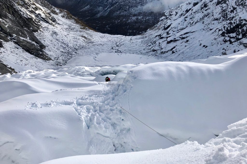 Tomanns-taulag på mellomfornakringer i  snødekt breis på  Tuftebreen.