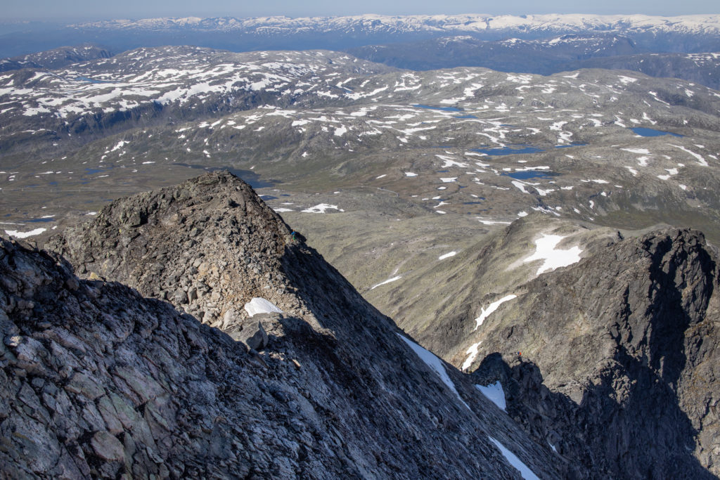 Svaene opp fra nordvestryggen til Store Austanbottstind.