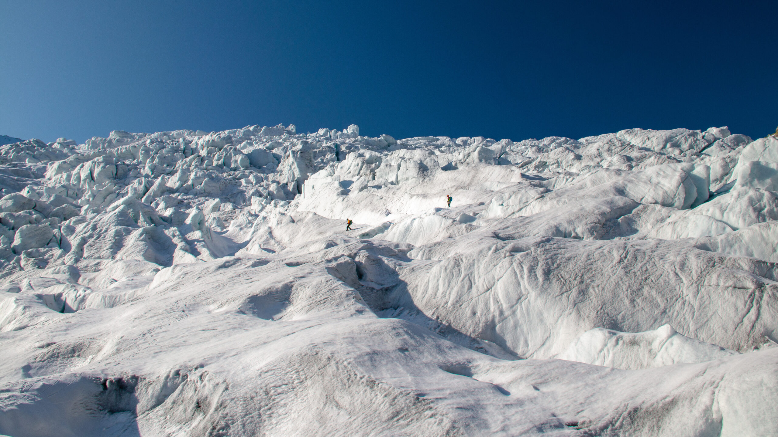 Nigardsbreen