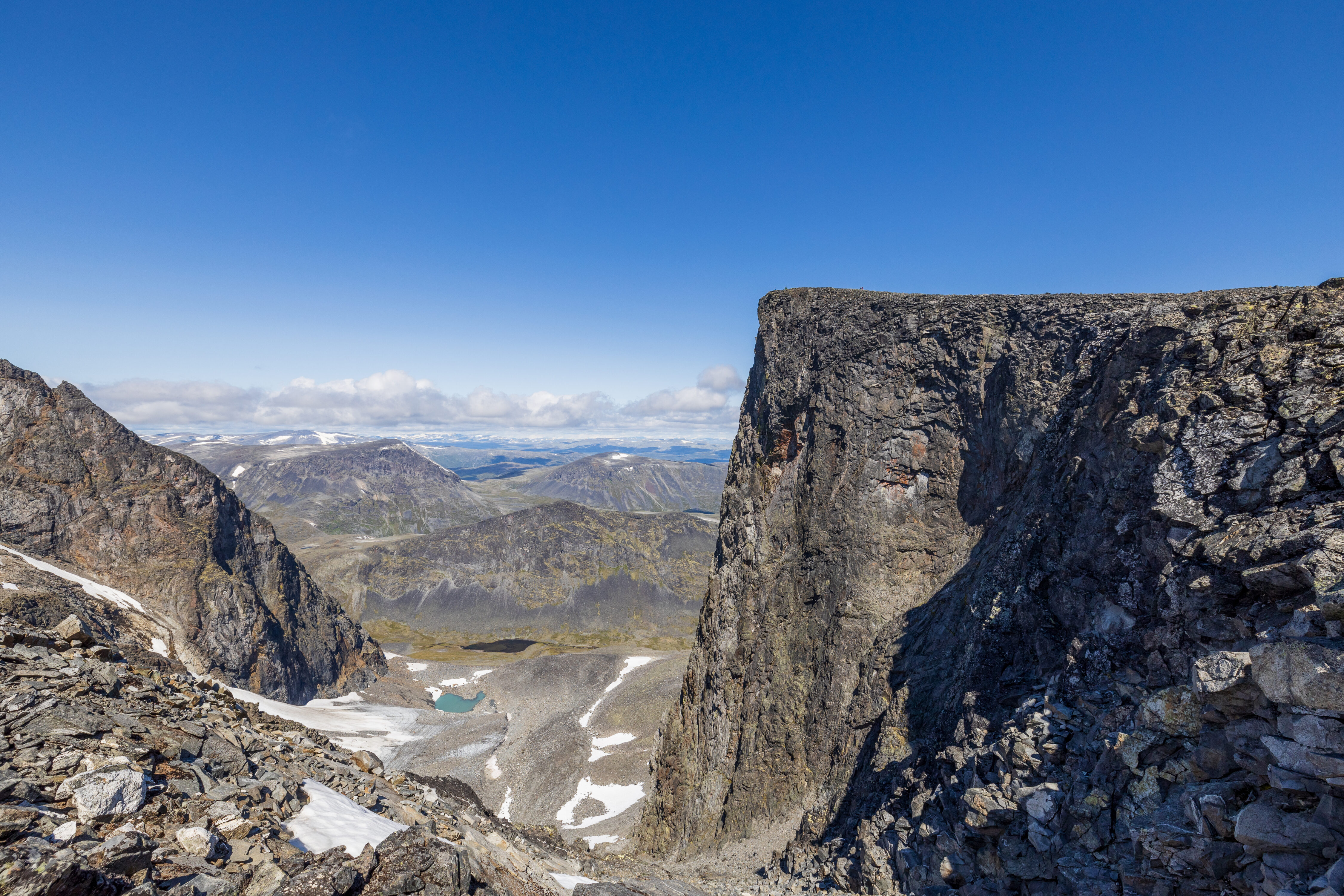 Finnshalsnobbe på Austre Trollsteinhøe.