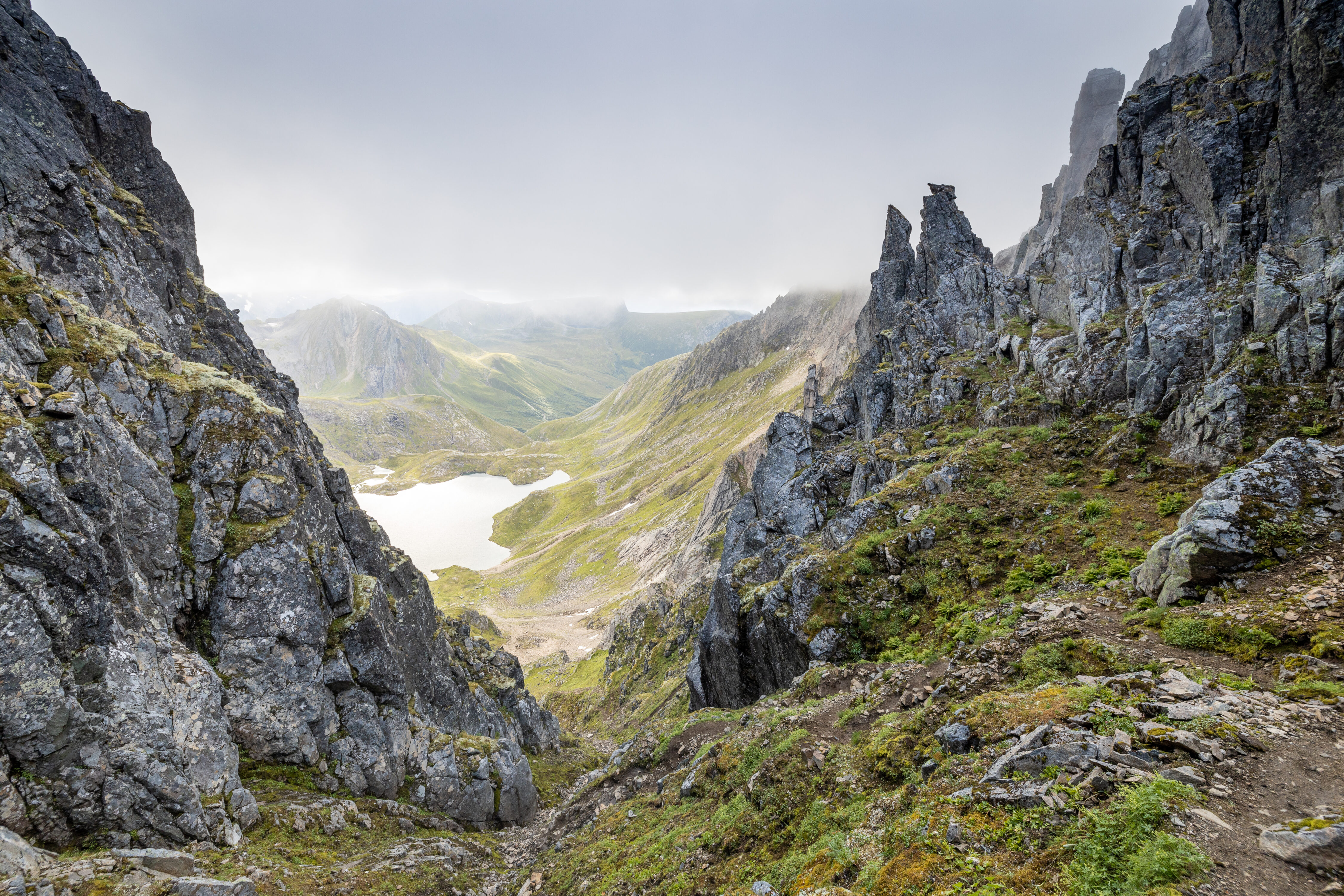 Mohnsrenna i Molladalen