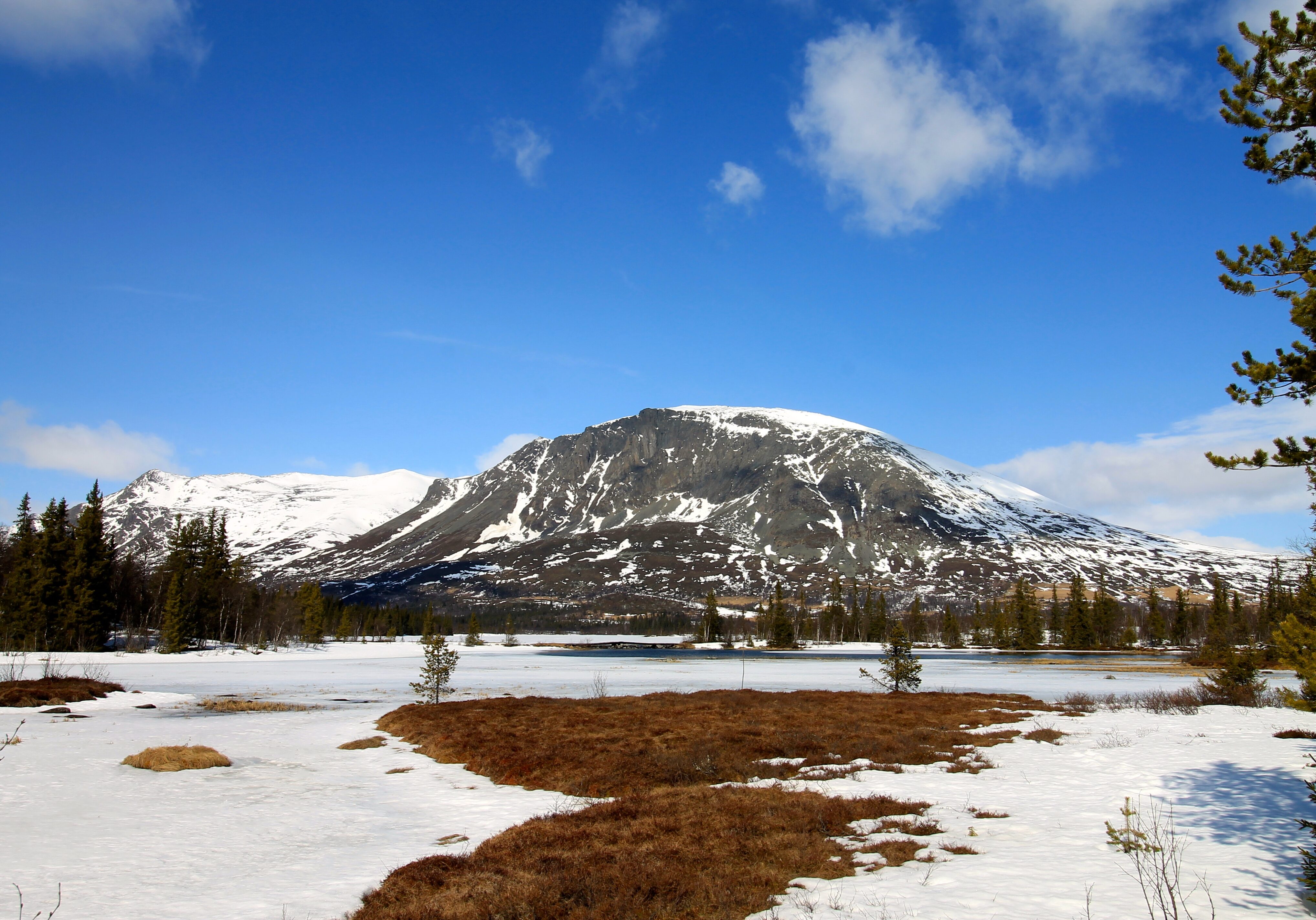 Skogshorn (1.728 moh) er en populær topptur med vid utsikt i Hemsedalsfjellene.
