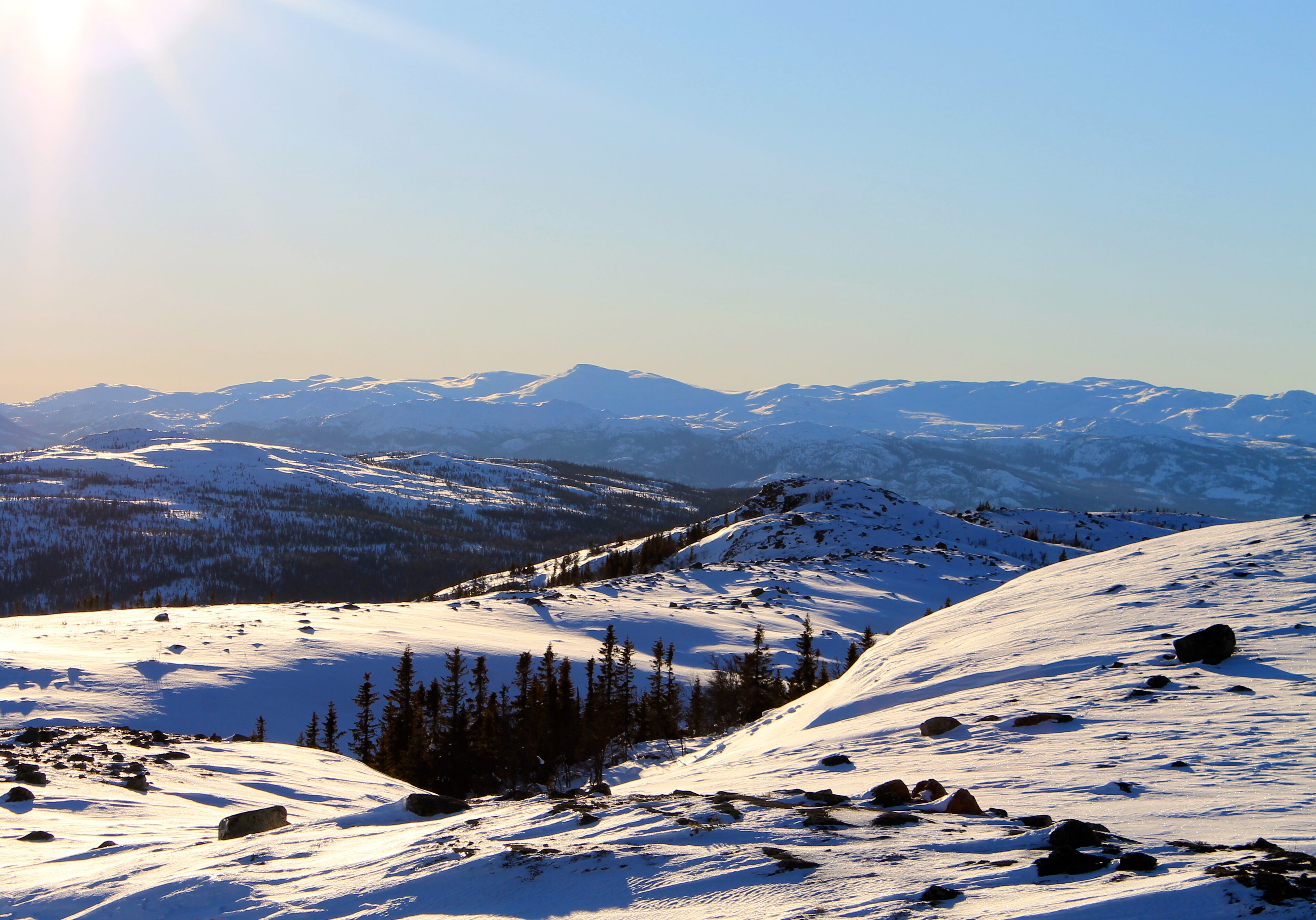 Utsikt mot Norefjellsryggen fra Nevlingkollen.