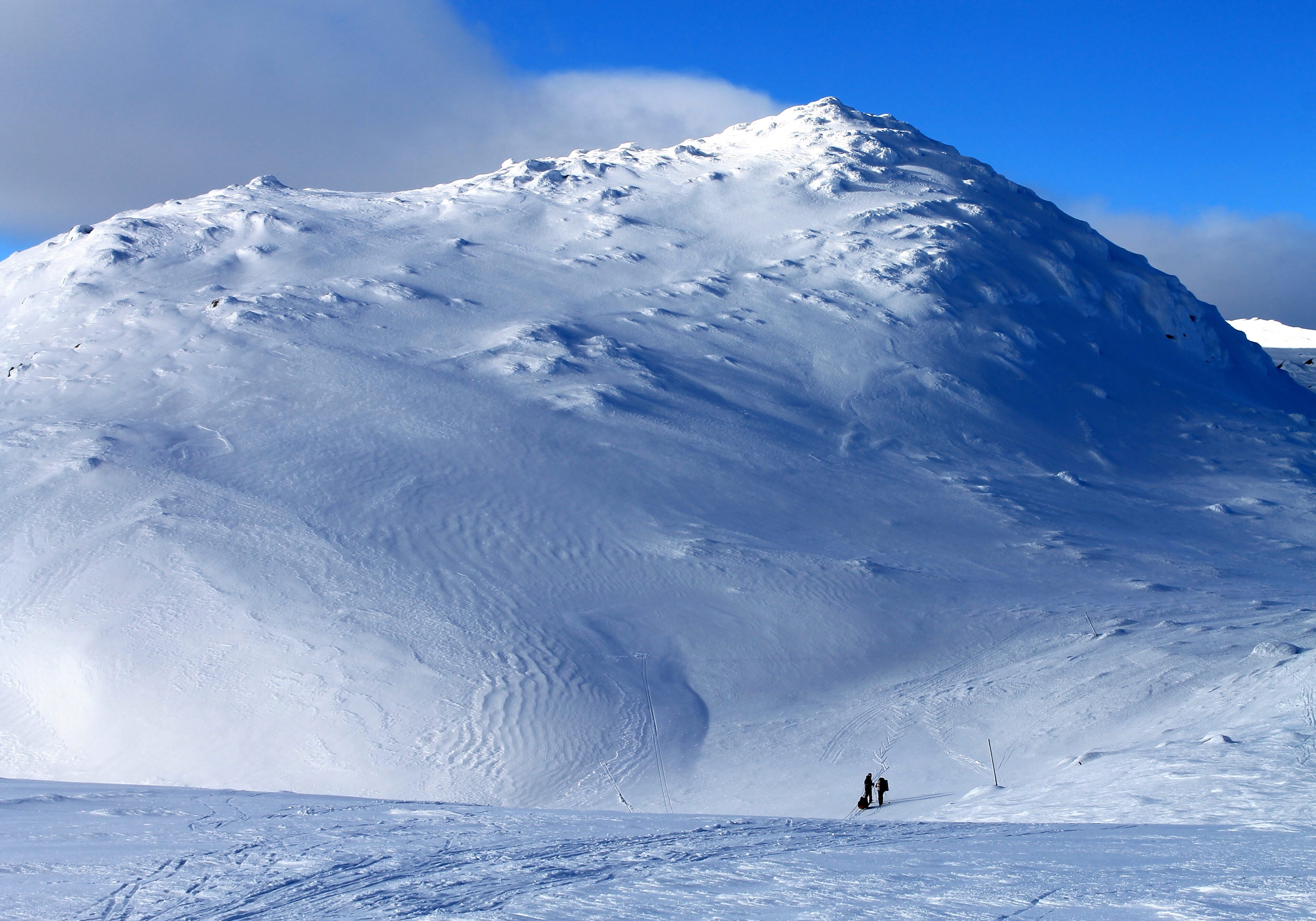 Gråfjell er den høyeste toppen på Norefjell og en lettgått tur.