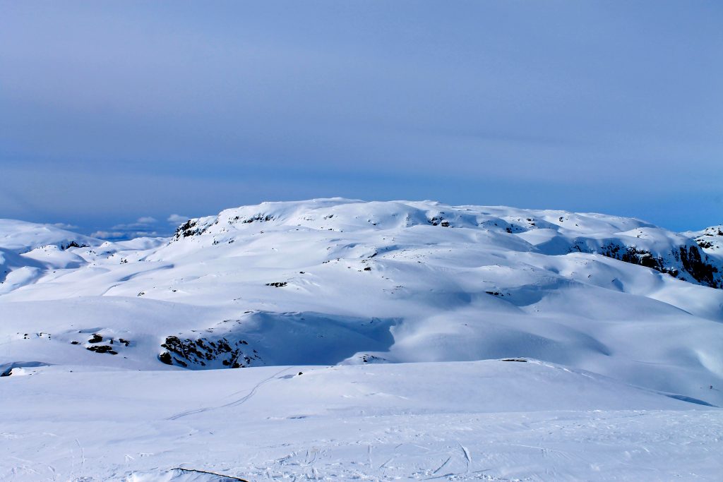Fuglafjellet (1.334 moh) sett fra Torefjell.