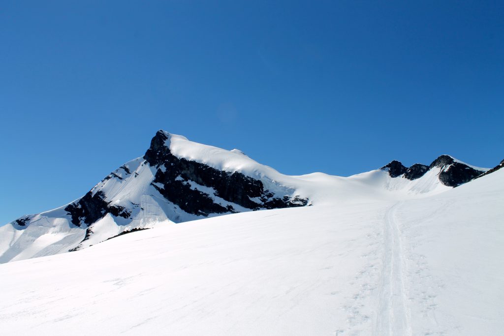 Mot toppen av Storebjørn (2.222 moh).