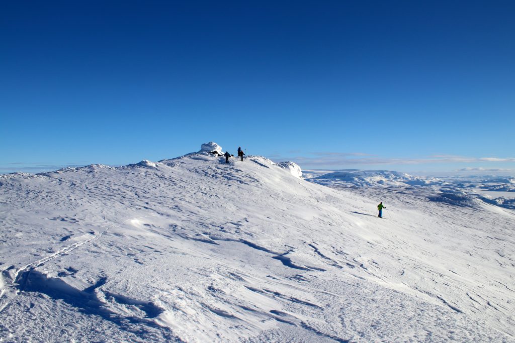 Toppen av Vassfjøra (1.633 moh).