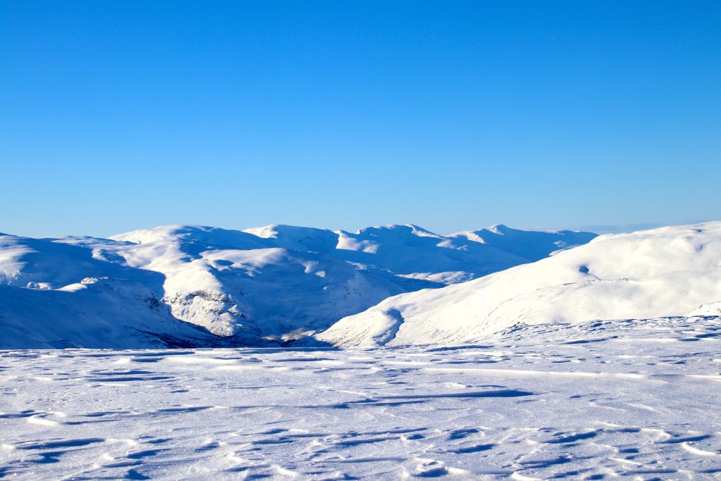 Utsikt mot Raundalsryggen med Olsskavlen (1.576 moh), Seldalsnuten (1.548 moh), Skipadalsnuten (1.496 moh) og Horndalsnuten (1.461 moh).