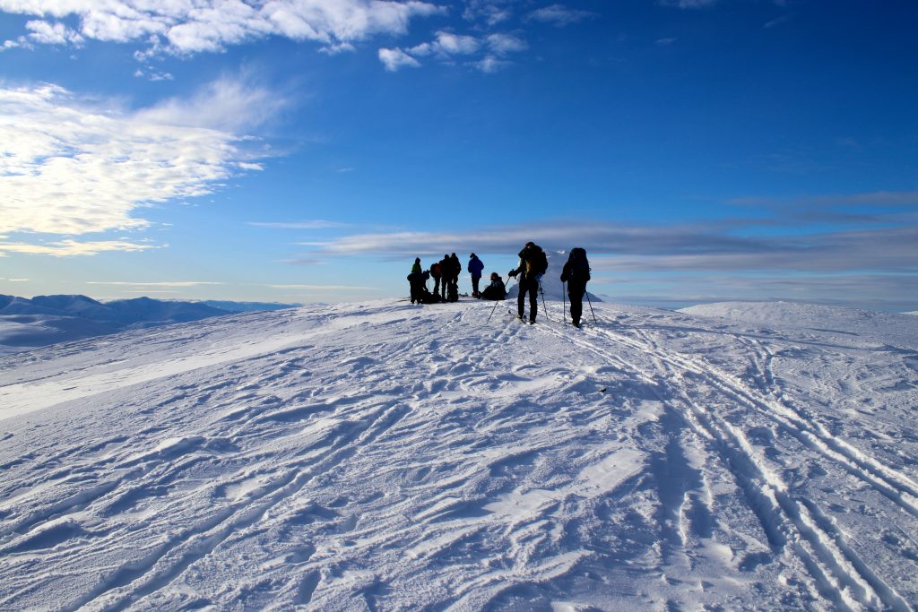Toppen av Fossdalsskavlen (1.551 moh).